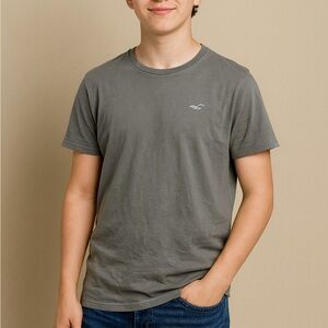Hollister Must-Have Gray Logo Tee Unisex Small – Classic Everyday Basic
